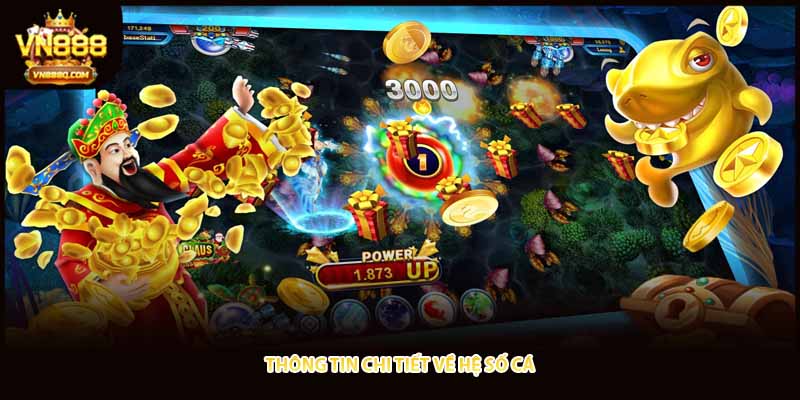Thông tin chi tiết về hệ số cá 