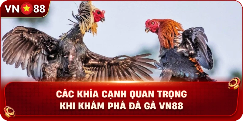 cac-khia-canh-quan-trong-khi-kham-pha-da-ga-vn88