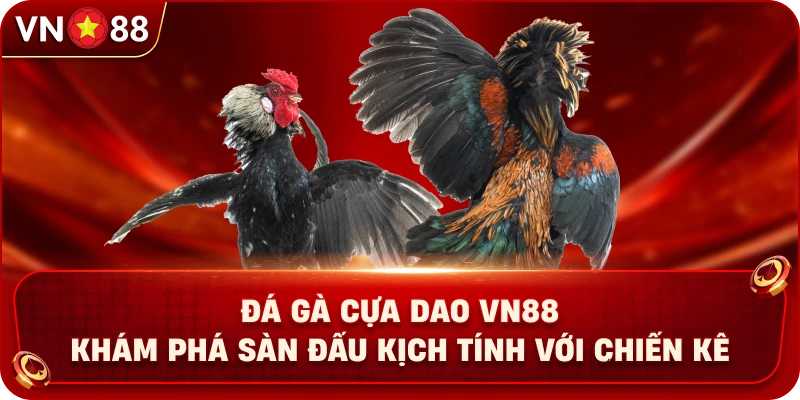 da-ga-cua-dao-vn88-kham-pha-san-dau-kich-tinh-voi-chien-ke