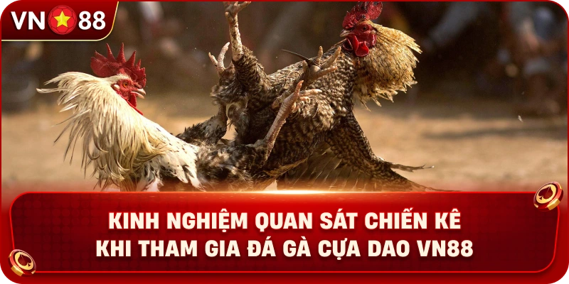 kinh-nghiem-quan-sat-chien-ke-khi-tham-gia-da-ga-cua-dao-vn88