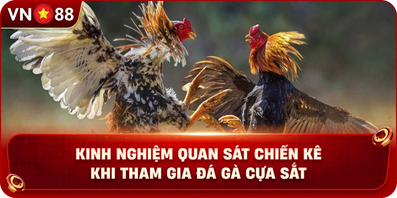 kinh-nghiem-quan-sat-chien-ke-khi-tham-gia-da-ga-cua-sat