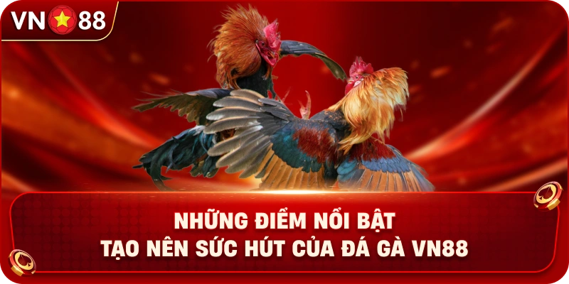 nhung-diem-noi-bat-tao-nen-suc-hut-cua-da-ga-vn88