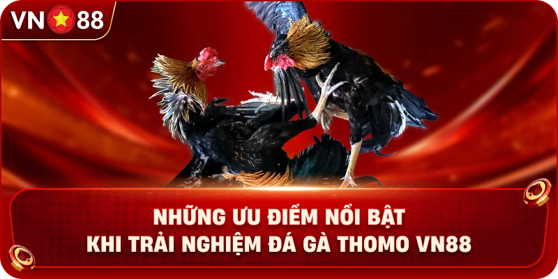 nhung-uu-diem-noi-bat-khi-trai-nghiem-da-ga-thomo-vn88